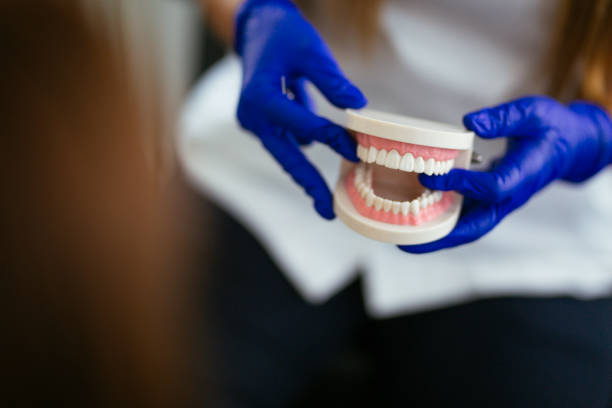 Best Dental Exams and Cleanings  in Mehlville, MO